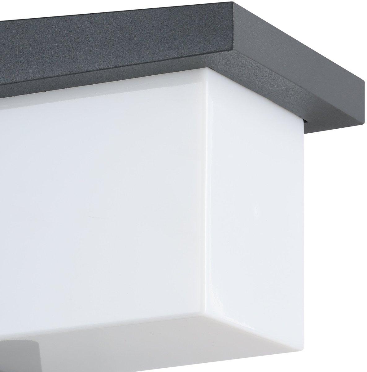 Außen-Wandleuchte LED Anthrazit/weiß DESELLA 1 10W 900lm IP54