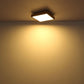 DORO Deckenleuchte alu/graphit Acryl opal LED 12W CCT 45x45cm