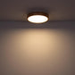 RAINER Deckenleuchte Holz dimmbar Fernbedienung LED 24W 1350lm CCT 3.000-6.000