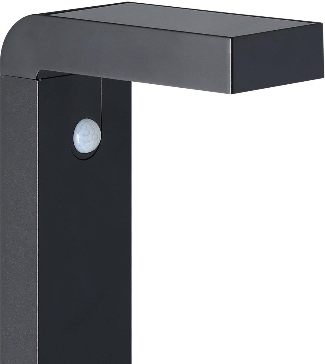 Außen-Solar-Stehleuchte BARACCONI LED 18x0,2W 300lm IP44 mit Sensor schwarz