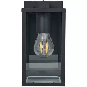 Außen-Wandleuchte BUDRONE E27 1x40W IP44 schwarz klar