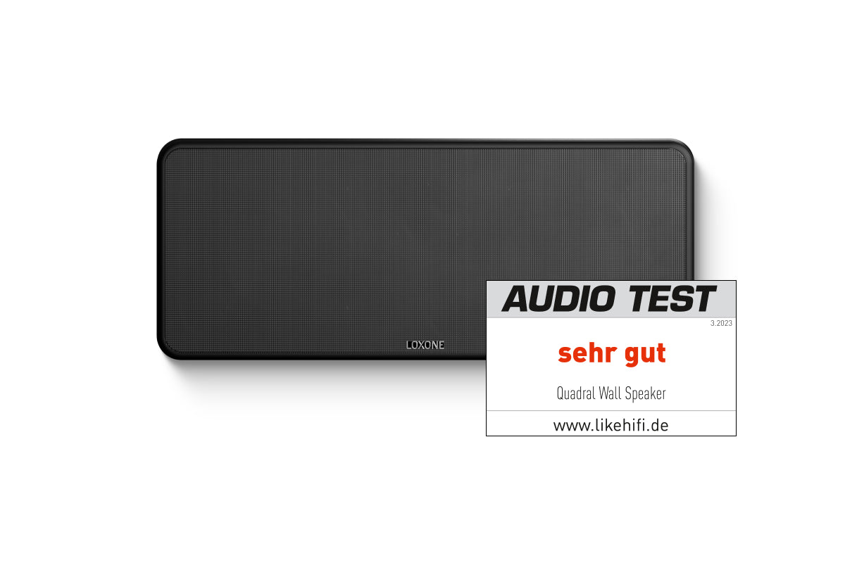Wall Speaker black