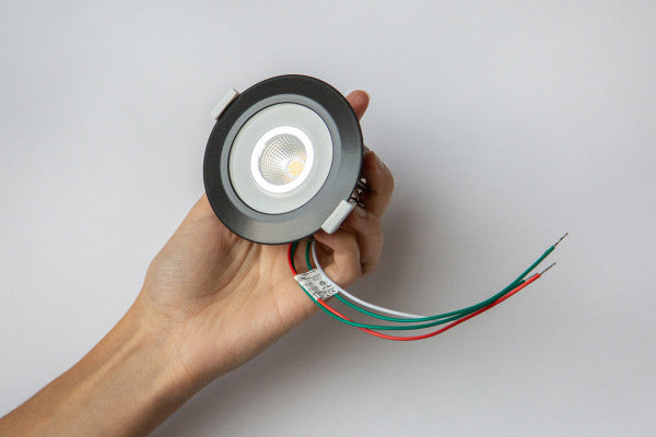 LED Spot RGBW Tree Anth